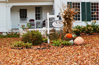 Arlington, VT - Rockwell's Retreat - Sign and Pumpkins - Fall